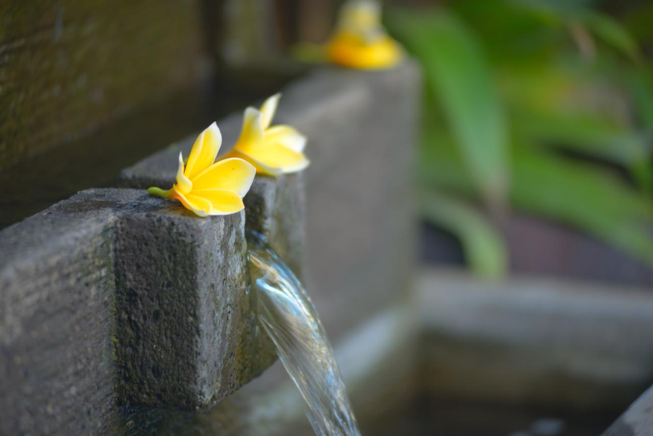 Andari Legian Hotel Bali Bagian luar foto